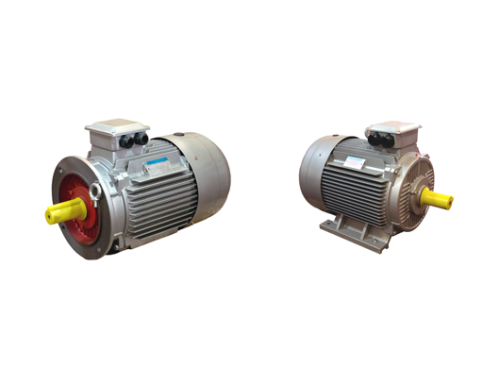 SATI: three-phase motors with cast iron casing